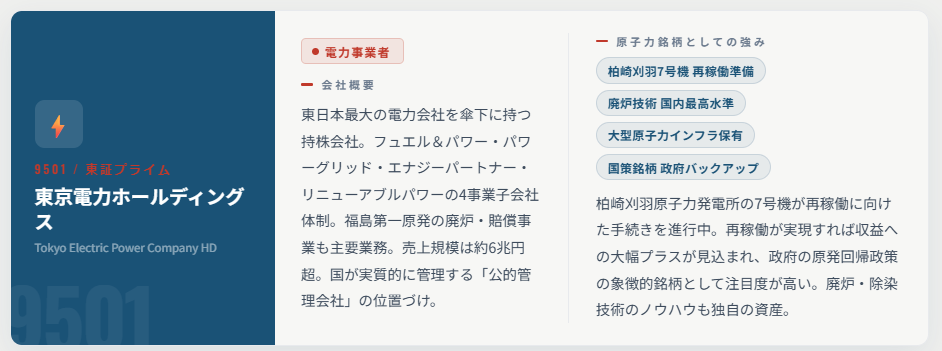 東京電力ホールディングス（9501）